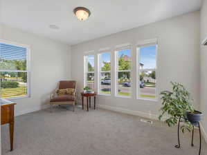 Sitting room featuring a healthy amount of sunlight and light colored carpet