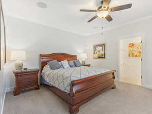 Carpeted bedroom with connected bathroom, crown molding, and ceiling fan