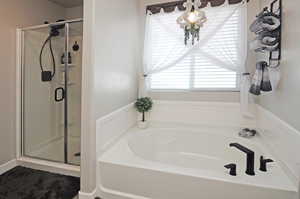 Bathroom with separate shower and tub