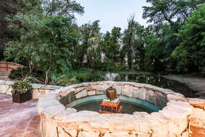 Fountain & Pond view