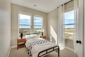 Bedroom with carpet flooring