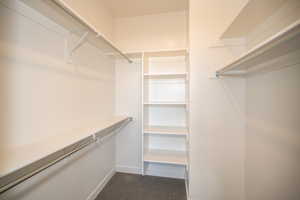 Spacious closet with carpet flooring