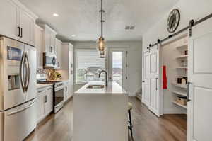 Kitchen featuring wood-type flooring, stainless steel appliances, an island with sink, sink, and a barn door