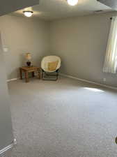 Unfurnished room featuring carpet floors and a textured ceiling