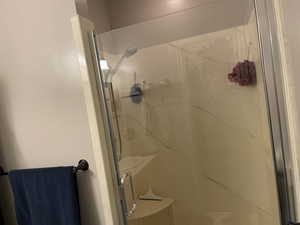 Bathroom featuring a shower with door