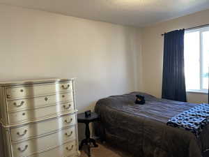 Bedroom featuring a textured ceiling, multiple windows, and carpet flooring