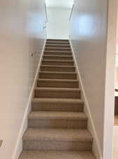 Staircase featuring carpet floors