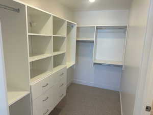 Spacious closet featuring dark carpet