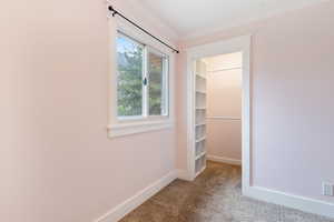 Second view of bedroom featuring a walk in closed and a new window with farmhouse-style trim.