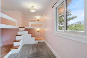 Bedroom featuring custom-built bunk beds with individual lighting, crown molding and carpet.