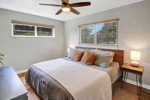 Bedroom with ceiling fan, multiple windows, and light hardwood / wood-style flooring