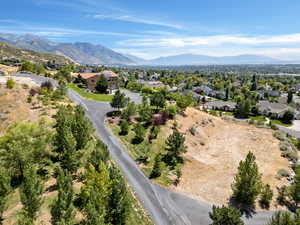 Bird's eye view with a mountain view