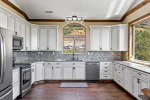 Kitchen with appliances with stainless steel finishes, a healthy amount of sunlight, and sink