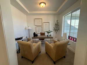 Carpeted office space featuring a raised ceiling