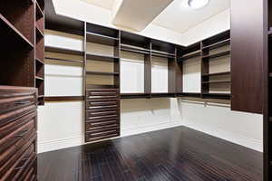 Spacious closet with hardwood / wood-style flooring