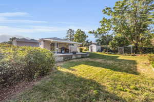 View of yard with a patio and a shed