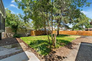 Back Yard fully fenced and renovated yard.