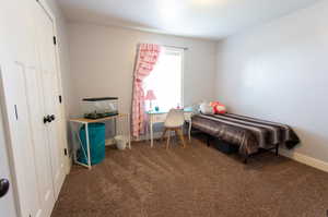 Bedroom with carpet flooring