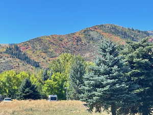 View of mountains from the front porch!