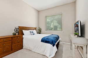 Carpeted bedroom with vaulted ceiling