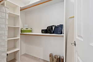 Walk in closet featuring light carpet