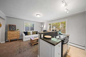 Carpeted living room featuring new paint and lots of natural light