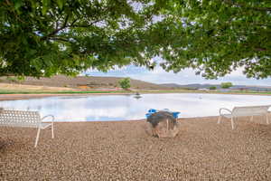 View of water feature