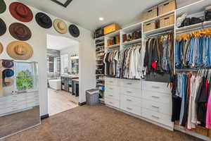 Spacious closet with light carpet