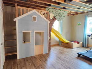 Basement Family Room