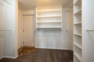 Walk in closet that is attached to 5th bedroom or living room.  Door to back yard is visible.