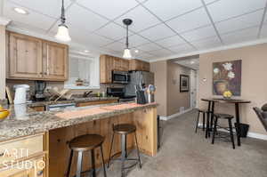 Lower Level Kitchen featuring a breakfast bar area, stainless steel appliances, sink, hanging light fixtures, and light colored carpet