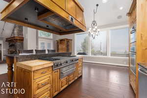 Kitchen featuring an inviting chandelier, appliances with stainless steel finishes, dark hardwood / wood-style flooring, and a healthy amount of sunlight