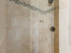 Downstairs walk-in shower