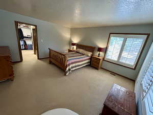 Carpeted bedroom with a textured ceiling, a closet, and a walk in closet