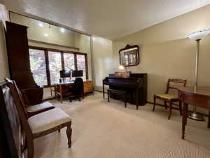 Sitting room featuring a textured ceiling, light colored carpet, and rail lighting