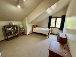 Carpeted bedroom featuring a textured ceiling, vaulted ceiling, and track lighting