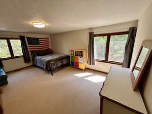 Bedroom with light carpet and a textured ceiling