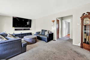 Living room featuring wood-type flooring