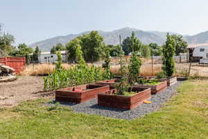 View of yard with a mountain view