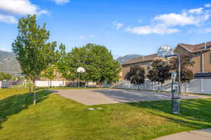 Community basketball court and dog-friendly space