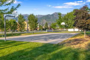 Community basketball court and dog-friendly space