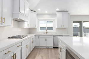 Kitchen featuring white cabinets, light hardwood / wood-style floors, appliances with stainless steel finishes, and sink