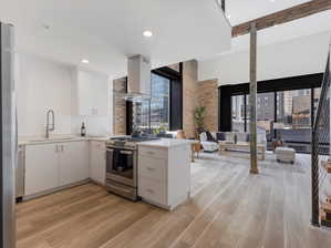 Kitchen featuring light hardwood / wood-style flooring, exhaust hood, stainless steel appliances, and a wealth of natural light