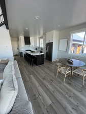 Living room featuring wood-type flooring