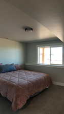 Bedroom featuring carpet floors