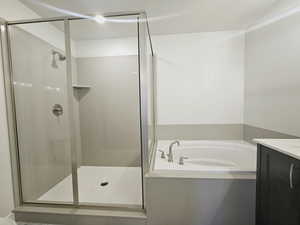 Bathroom with vanity and separate shower and tub