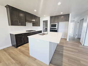 Kitchen featuring light wood-type flooring, a kitchen island with sink, stainless steel appliances, decorative backsplash, and sink