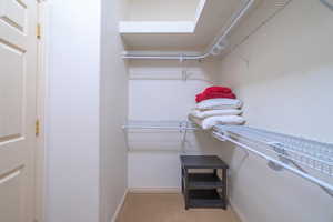 Spacious closet featuring carpet flooring