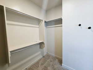 Spacious closet featuring carpet flooring