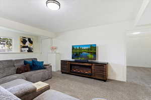 Basement Family Room